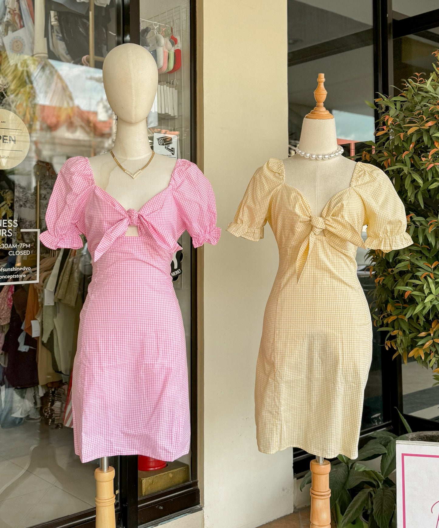Picnic Dress