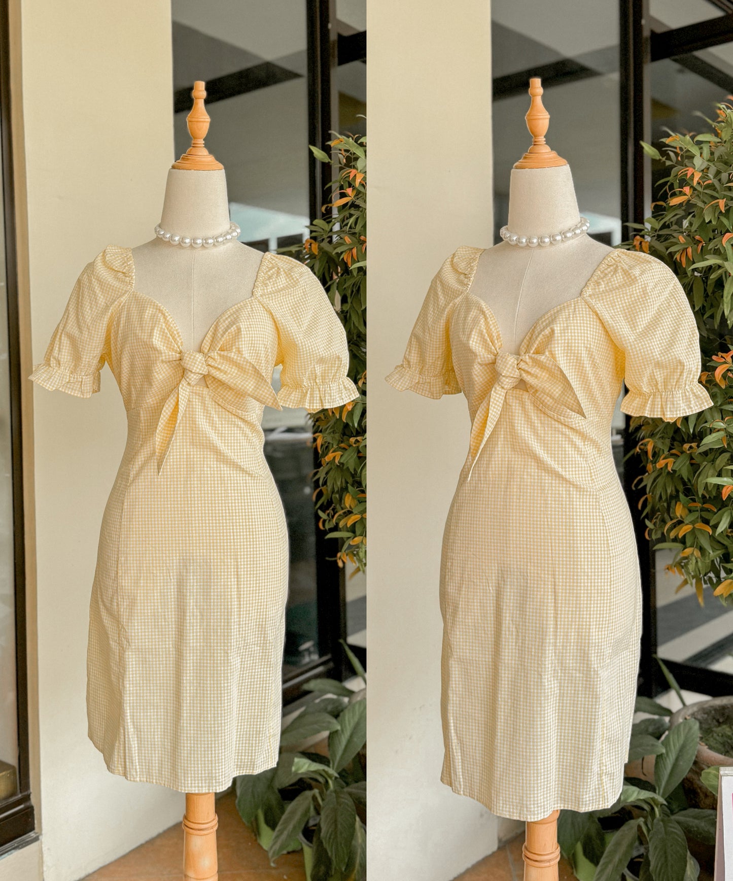 Picnic Dress
