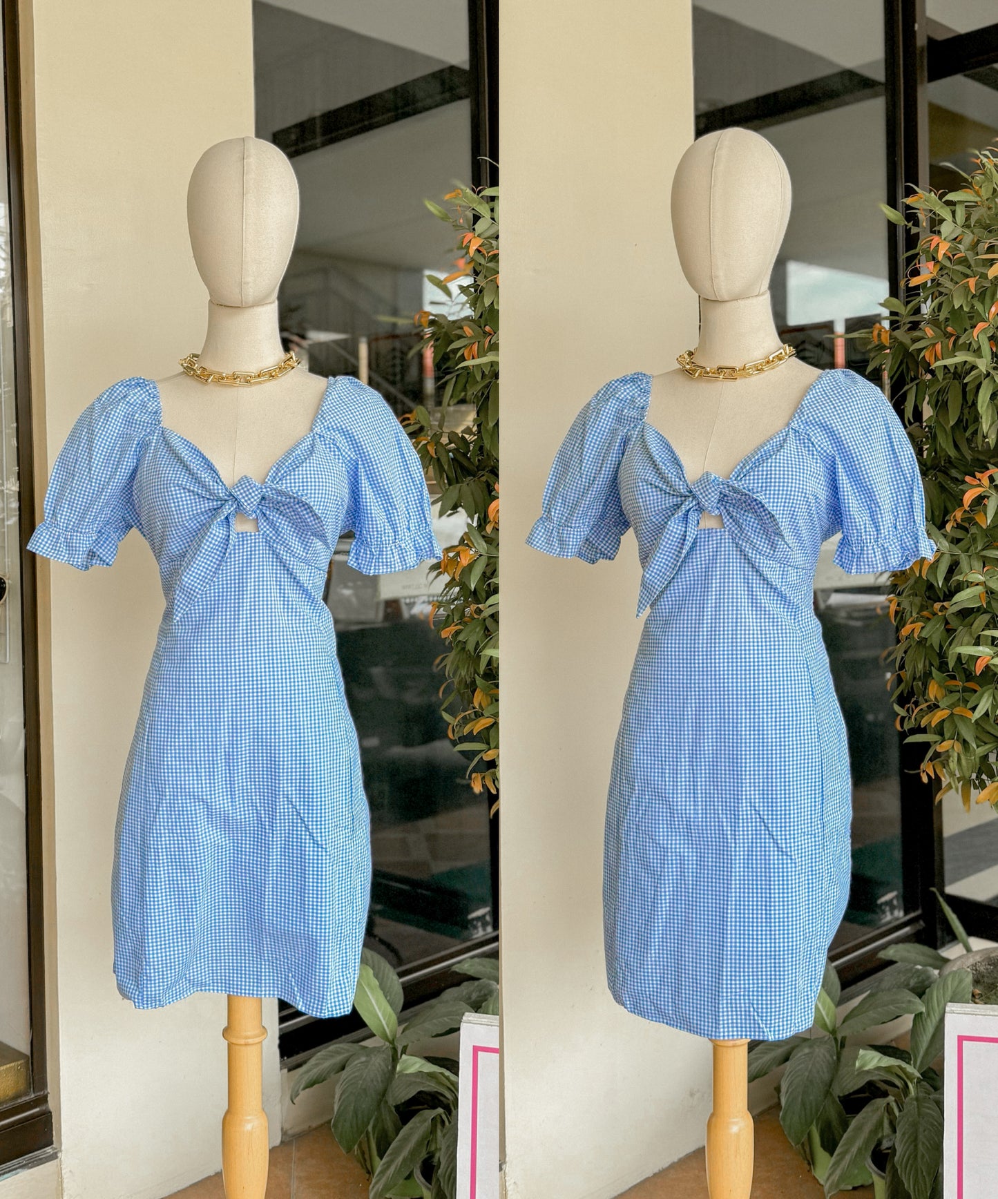 Picnic Dress