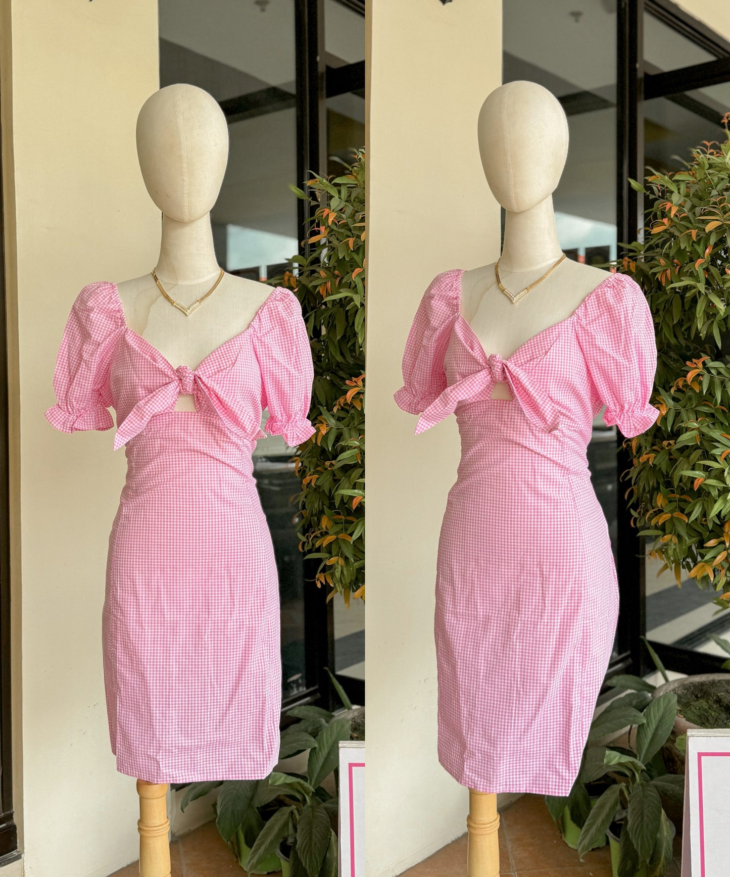 Picnic Dress